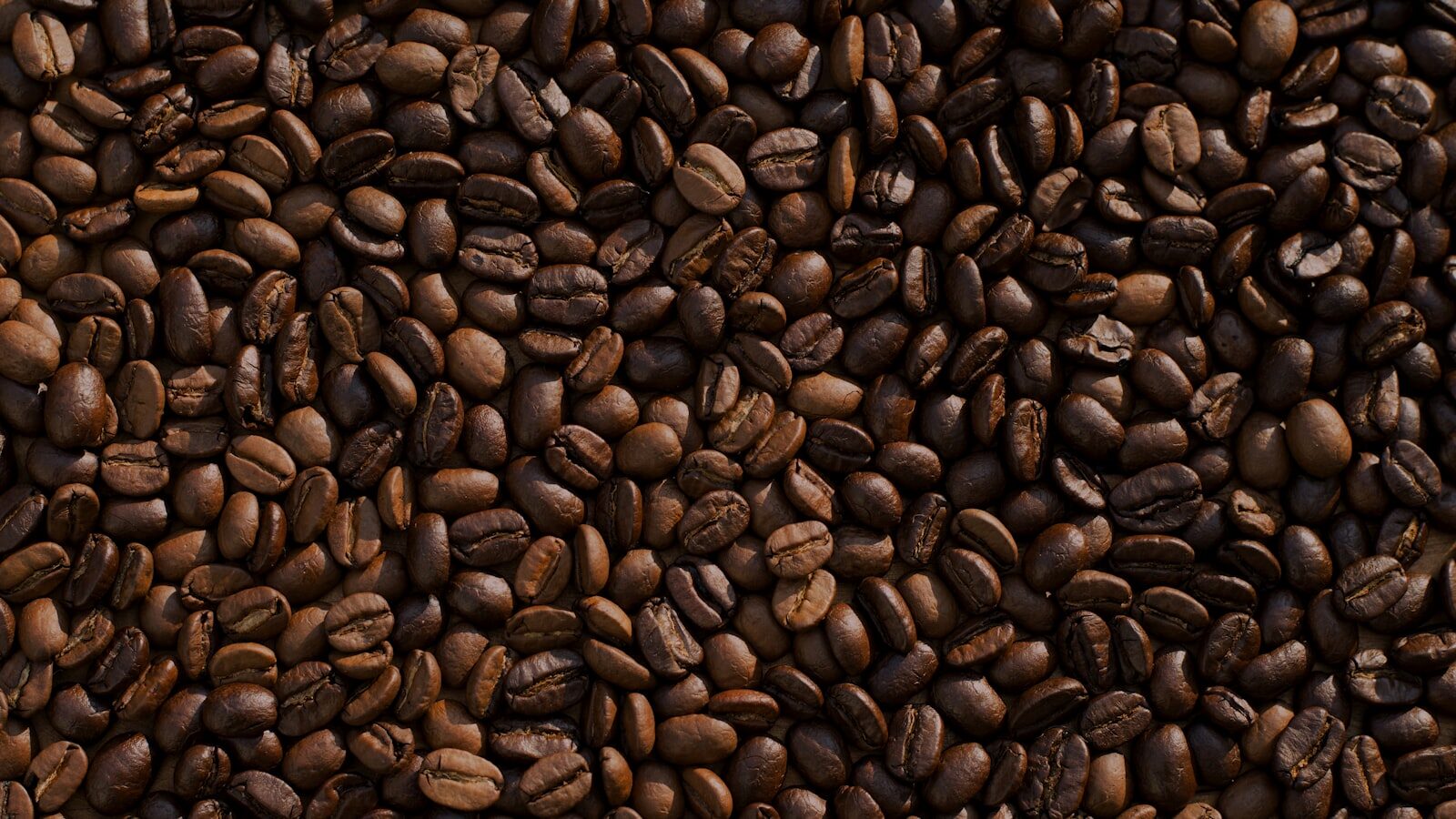 Ermera Municipality - Coffee Country Travel Guide
