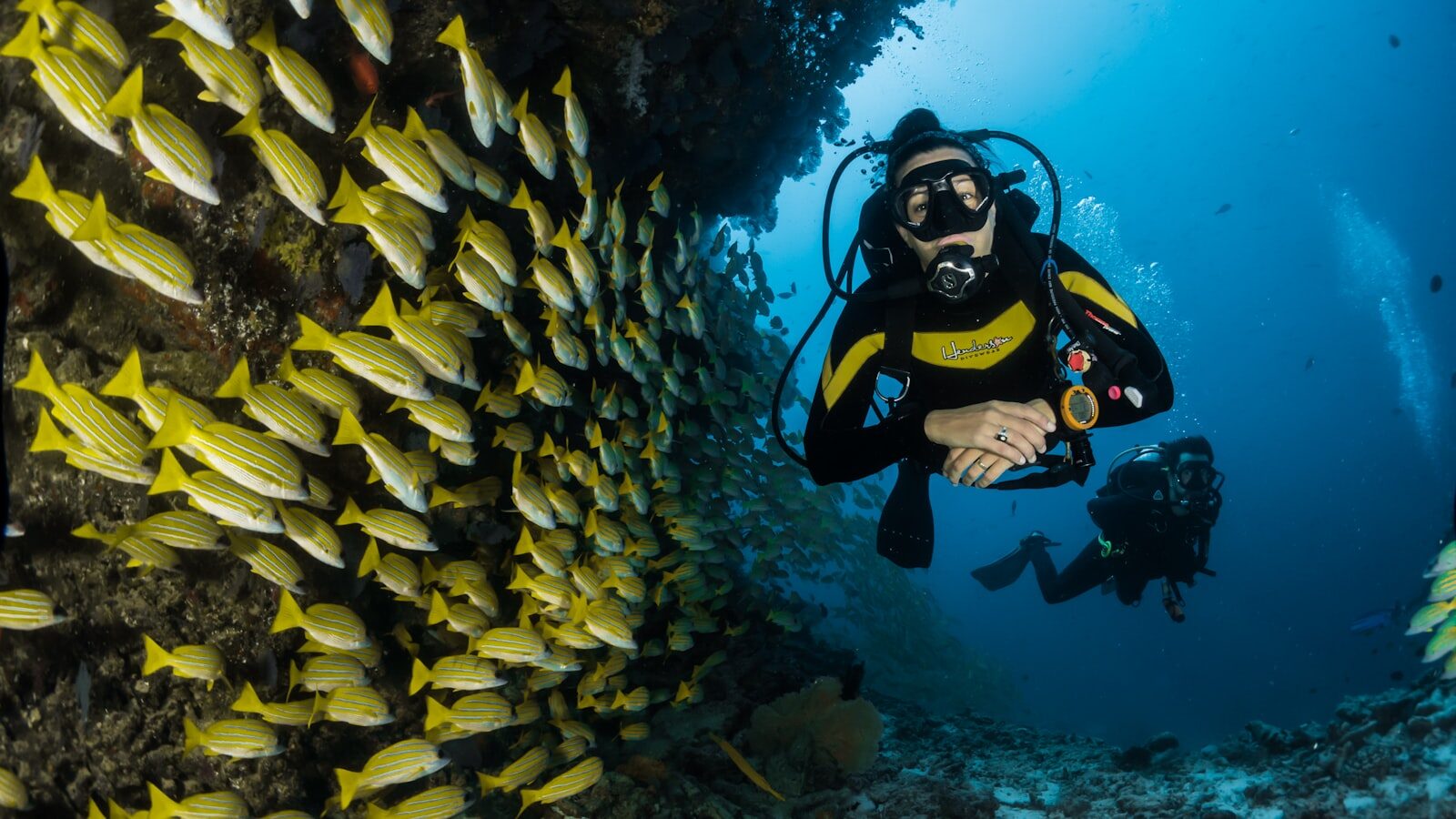 Dive in and around Dili